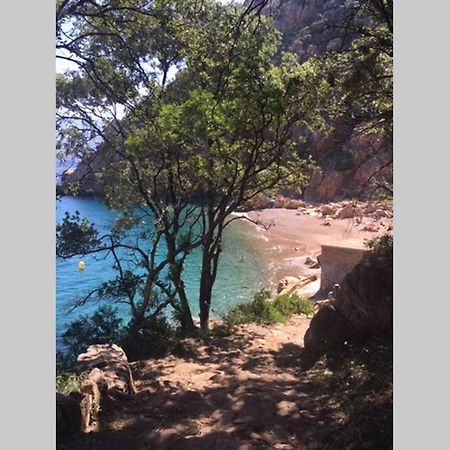 Apartmán Funtana Nova Piana  Exteriér fotografie